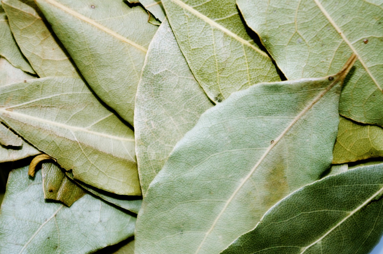 KOKA kryddnejlika med lagerblad och spara detta recept: DU KOMMER INTE TRO vad det gör!