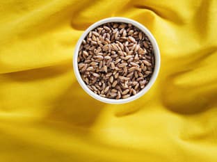 Ett urgammalt KORN, som i stort sett är okänt för många: det trycker quinoa och havre ur förgrunden